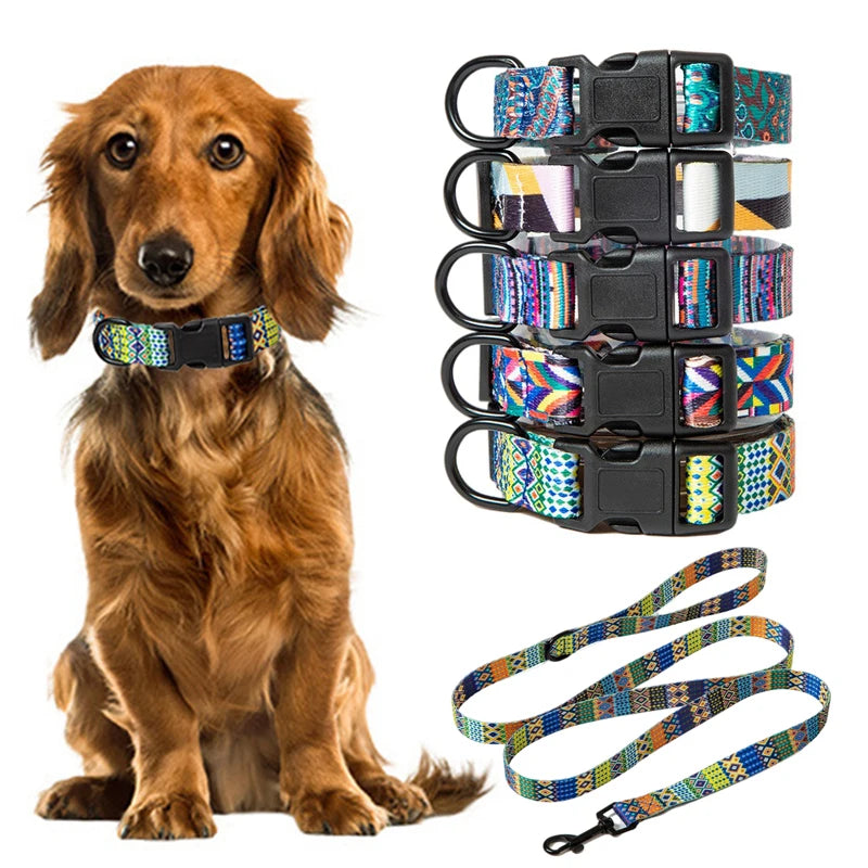 Bohemian Pet Collar and Leash Set