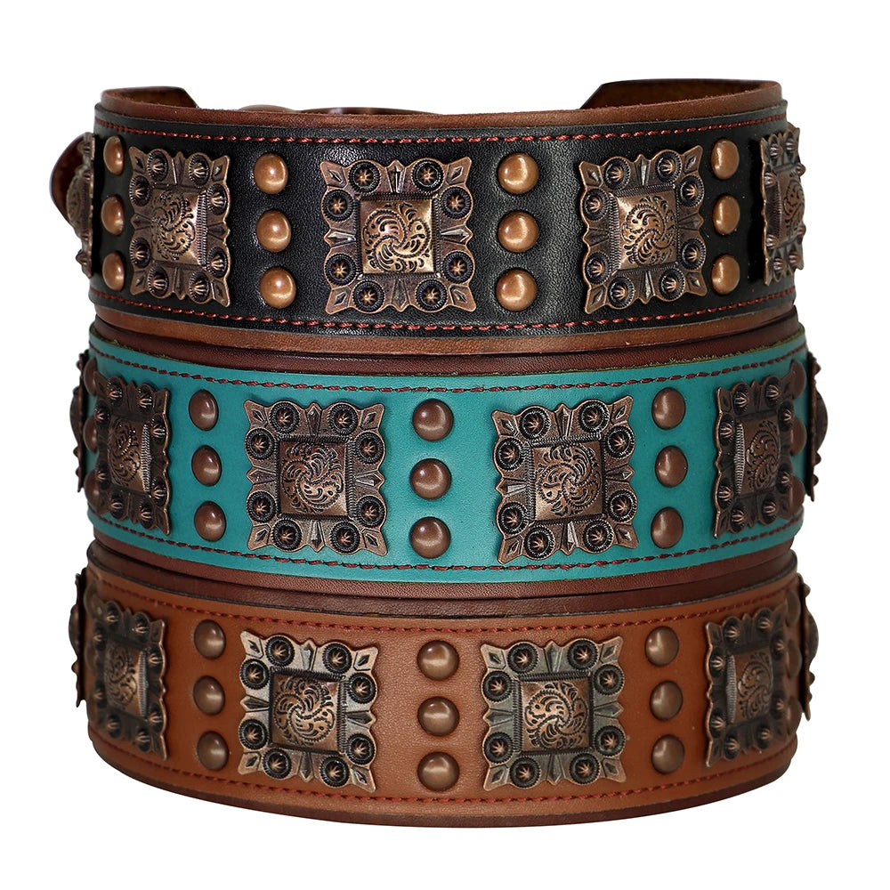 Genuine Leather Spiked Dog Collar