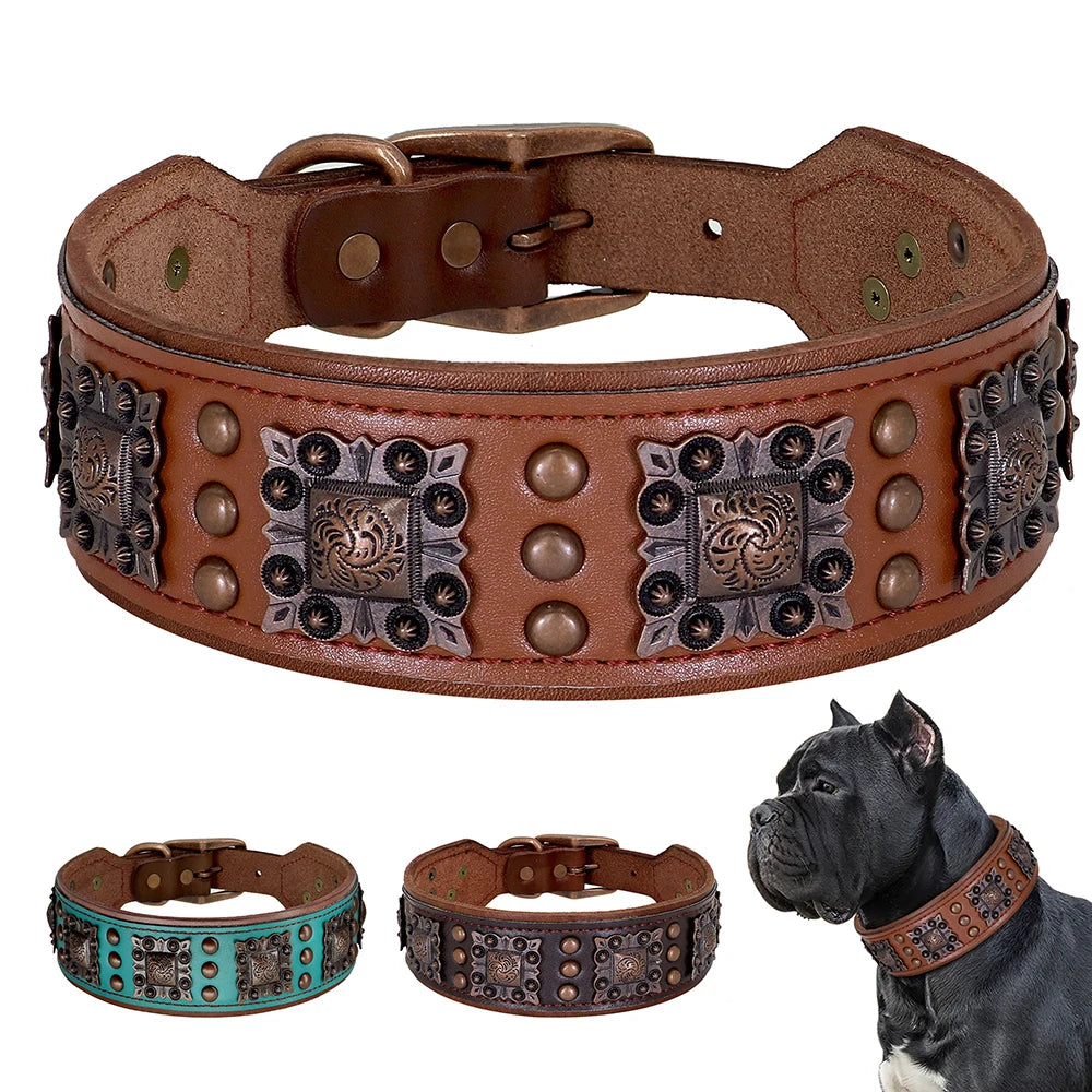 Genuine Leather Spiked Dog Collar