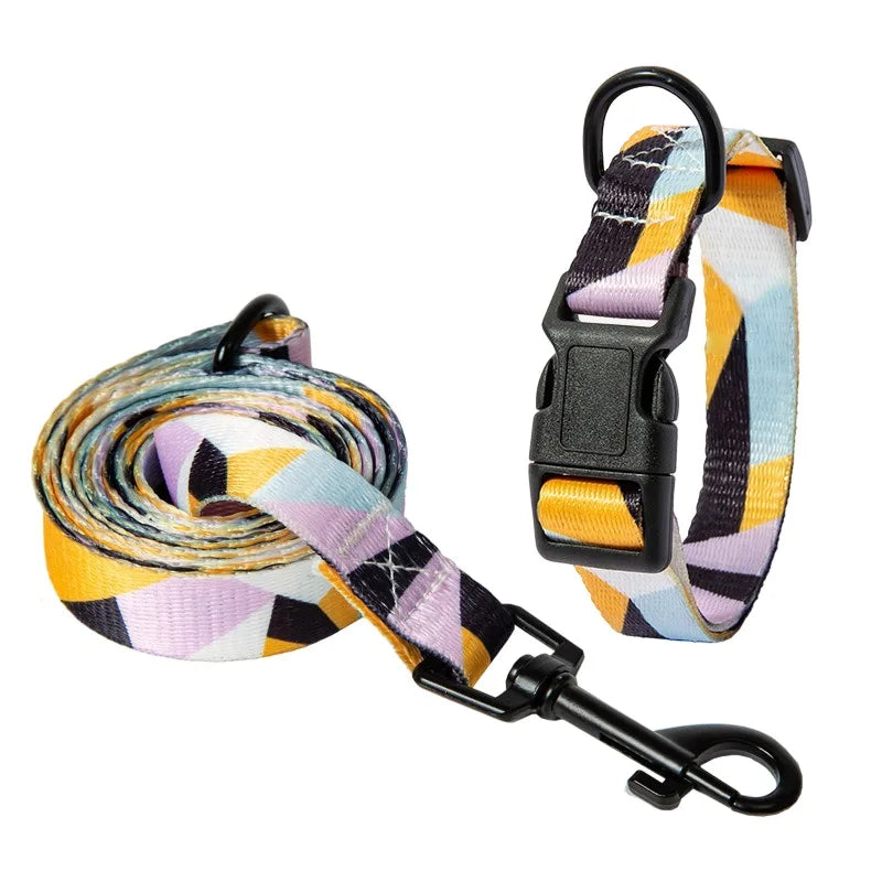 Bohemian Pet Collar and Leash Set